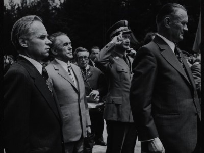 Zelig: Reaktywacja