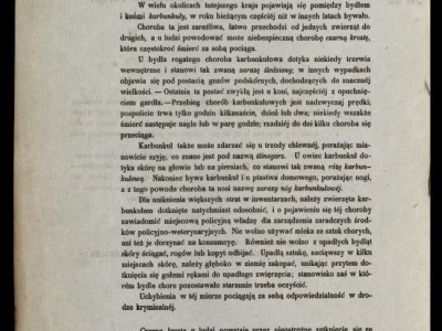 Karbunkuły albo ogłoszenia parafialne