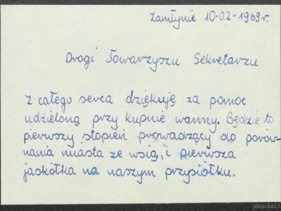 Jaskółka biała wanna