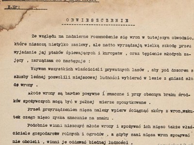 Skrzydełko czy nóżka?