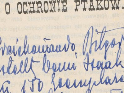 O krnąbrnym chłopczynie