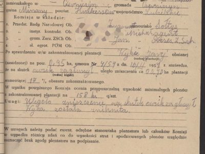 Owsik zagłuszył więc wyka została zniknita!
